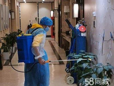 專業(yè)保潔服務(wù) 從美縫除醛到衣櫥整理，全方位守護(hù)家居健康